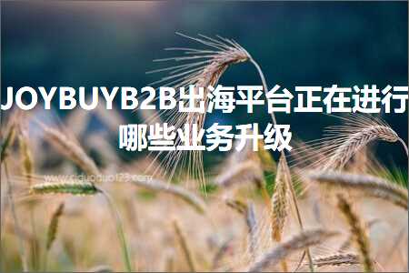 跨境电商知识:JOYBUYB2B出海平台正在进行哪些业务升级